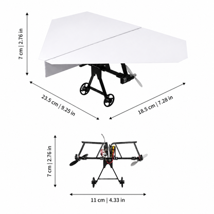 PetitPlaneur