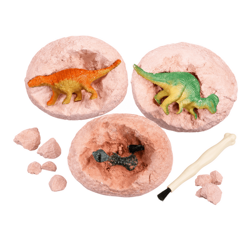 DinoFouille