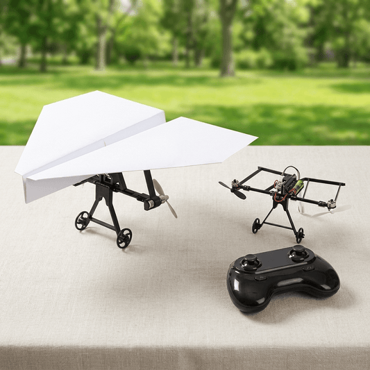PetitPlaneur